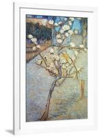 Van Gogh: Peartree, 1888-Vincent van Gogh-Framed Giclee Print