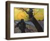 Van Gogh: Sower, 1888-Vincent van Gogh-Framed Giclee Print