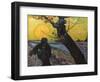 Van Gogh: Sower, 1888-Vincent van Gogh-Framed Giclee Print