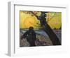 Van Gogh: Sower, 1888-Vincent van Gogh-Framed Premium Giclee Print