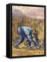 Van Gogh: The Reaper, 1889-Vincent van Gogh-Framed Stretched Canvas