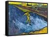 Van Gogh: The Sower, C1888-Vincent van Gogh-Framed Stretched Canvas