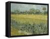 Van Gogh, View of Arles with Irises-null-Framed Stretched Canvas