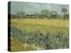 Van Gogh, View of Arles with Irises-null-Stretched Canvas