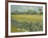 Van Gogh, View of Arles with Irises-null-Framed Giclee Print