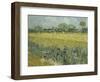 Van Gogh, View of Arles with Irises-null-Framed Giclee Print