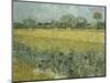 Van Gogh, View of Arles with Irises-null-Mounted Giclee Print