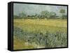 Van Gogh, View of Arles with Irises-null-Framed Stretched Canvas