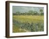 Van Gogh, View of Arles with Irises-null-Framed Giclee Print