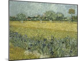 Van Gogh, View of Arles with Irises-null-Mounted Giclee Print