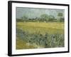 Van Gogh, View of Arles with Irises-null-Framed Giclee Print