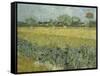 Van Gogh, View of Arles with Irises-null-Framed Stretched Canvas