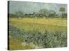 Van Gogh, View of Arles with Irises-null-Stretched Canvas