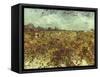 Van Gogh: Vineyard, 1888-Vincent van Gogh-Framed Stretched Canvas