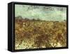 Van Gogh: Vineyard, 1888-Vincent van Gogh-Framed Stretched Canvas