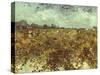 Van Gogh: Vineyard, 1888-Vincent van Gogh-Stretched Canvas