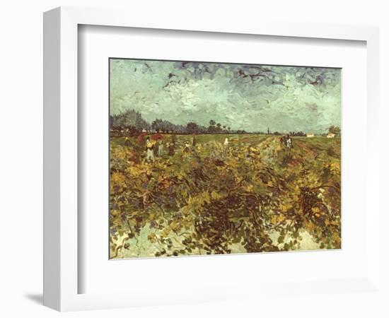 Van Gogh: Vineyard, 1888-Vincent van Gogh-Framed Giclee Print