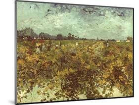 Van Gogh: Vineyard, 1888-Vincent van Gogh-Mounted Giclee Print