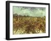 Van Gogh: Vineyard, 1888-Vincent van Gogh-Framed Giclee Print