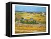 Van Gogh: Wheatfield, 1888-Vincent van Gogh-Framed Stretched Canvas