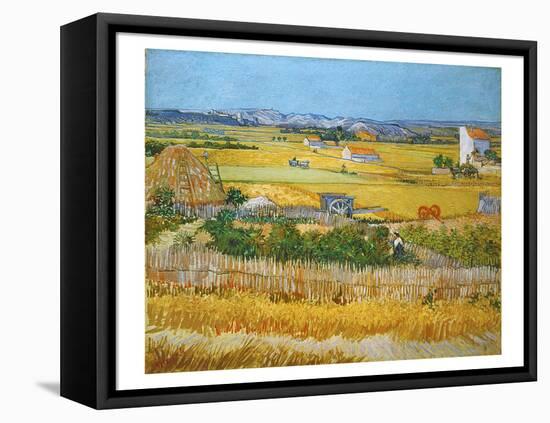 Van Gogh: Wheatfield, 1888-Vincent van Gogh-Framed Stretched Canvas