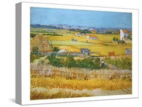 Van Gogh: Wheatfield, 1888-Vincent van Gogh-Stretched Canvas