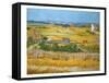 Van Gogh: Wheatfield, 1888-Vincent van Gogh-Framed Stretched Canvas