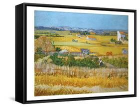 Van Gogh: Wheatfield, 1888-Vincent van Gogh-Framed Stretched Canvas