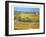 Van Gogh: Wheatfield, 1888-Vincent van Gogh-Framed Giclee Print