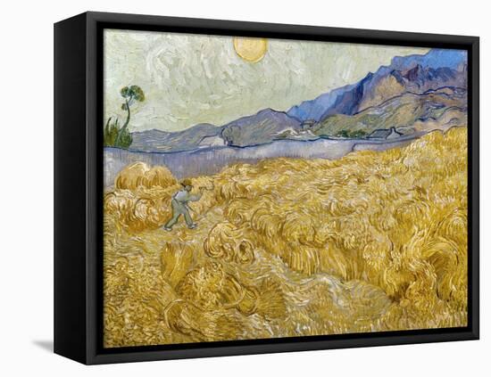 Van Gogh: Wheatfield, 1889-Vincent van Gogh-Framed Stretched Canvas