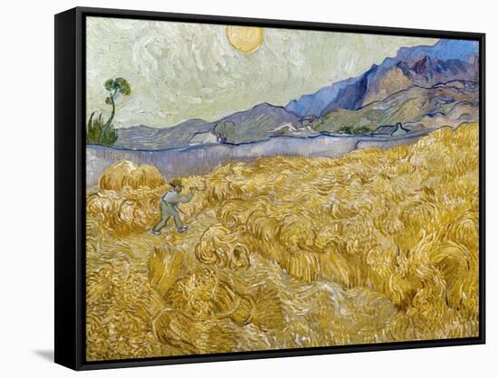 Van Gogh: Wheatfield, 1889-Vincent van Gogh-Framed Stretched Canvas