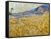 Van Gogh: Wheatfield, 1889-Vincent van Gogh-Framed Stretched Canvas