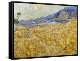 Van Gogh: Wheatfield, 1889-Vincent van Gogh-Framed Stretched Canvas