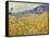 Van Gogh: Wheatfield, 1889-Vincent van Gogh-Framed Stretched Canvas