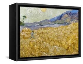 Van Gogh: Wheatfield, 1889-Vincent van Gogh-Framed Stretched Canvas