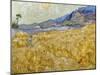 Van Gogh: Wheatfield, 1889-Vincent van Gogh-Mounted Giclee Print