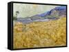 Van Gogh: Wheatfield, 1889-Vincent van Gogh-Framed Stretched Canvas