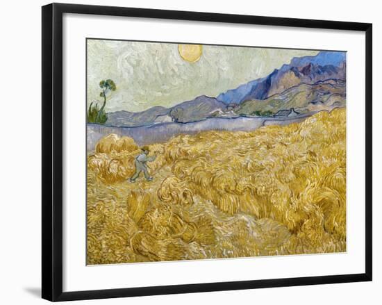 Van Gogh: Wheatfield, 1889-Vincent van Gogh-Framed Giclee Print