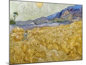 Van Gogh: Wheatfield, 1889-Vincent van Gogh-Mounted Giclee Print