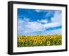 Van Gogh-Marco Carmassi-Framed Photographic Print