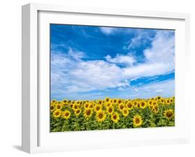 Van Gogh-Marco Carmassi-Framed Photographic Print