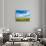 Van Gogh-Marco Carmassi-Photographic Print displayed on a wall