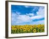 Van Gogh-Marco Carmassi-Framed Photographic Print