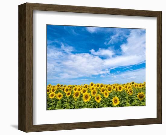 Van Gogh-Marco Carmassi-Framed Photographic Print