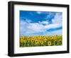 Van Gogh-Marco Carmassi-Framed Photographic Print