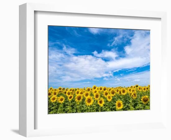 Van Gogh-Marco Carmassi-Framed Photographic Print