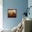Van Gough's Mind-Philippe Sainte-Laudy-Framed Stretched Canvas displayed on a wall