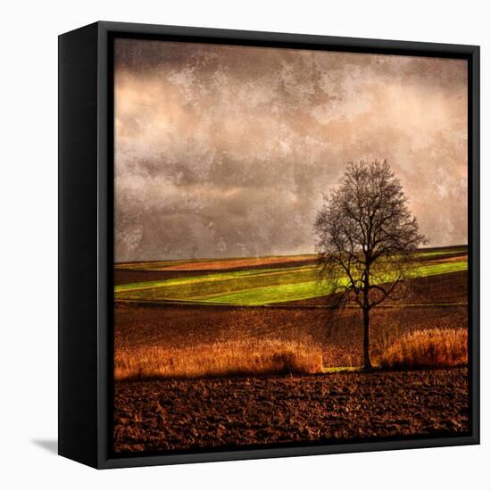 Van Gough's Mind-Philippe Sainte-Laudy-Framed Stretched Canvas