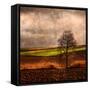 Van Gough's Mind-Philippe Sainte-Laudy-Framed Stretched Canvas