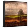 Van Gough's Mind-Philippe Sainte-Laudy-Framed Stretched Canvas